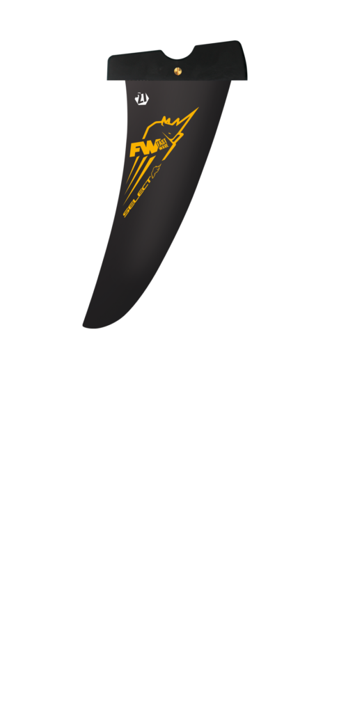 Fast Wave